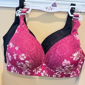 Floral Lace Women's Bra Pink/black gloria vanderbilt soft stretch Sz 36DD